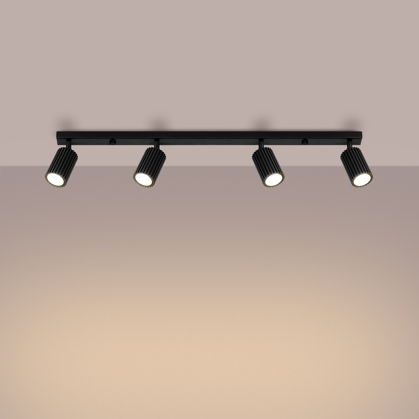 Plafond KARBON 4L schwarz