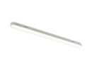 TRIDENT PRO 120 Körper grau Mattacryl 230V LED 40W IP65  4000K