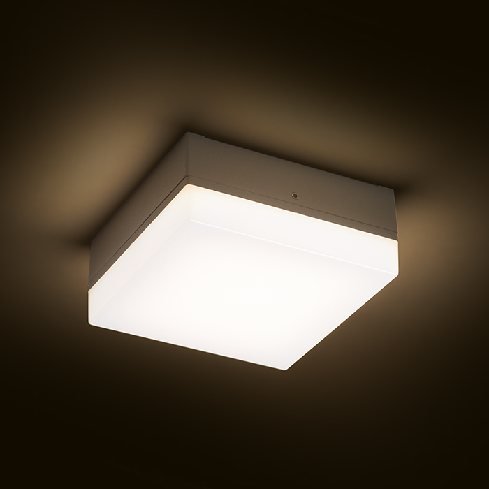 SPECTACLE Aufbauleuchte silbergrau 230V LED 5W IP54 3000K