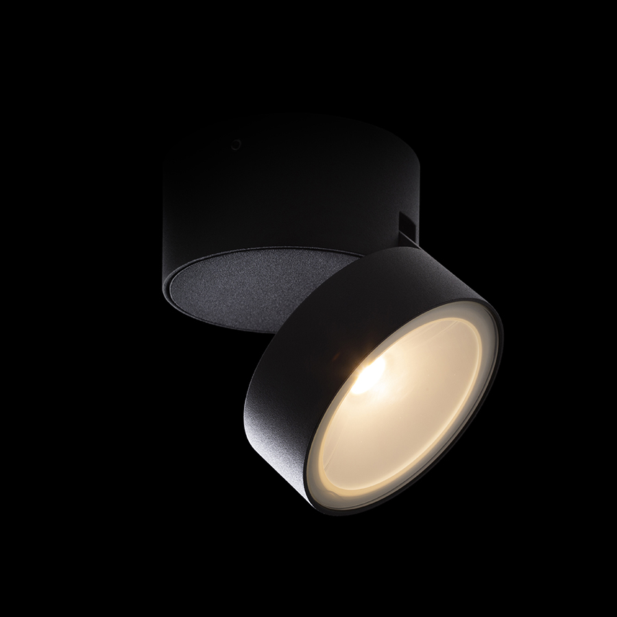 FLAVIO R Aufbauleuchte lichtgrau 230V LED 6W 110° IP54 3000K