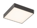 LARISA SQ 30 DIMM Deckenleuchte schwarz 230V LED 30W 3000K 4000K 6500K